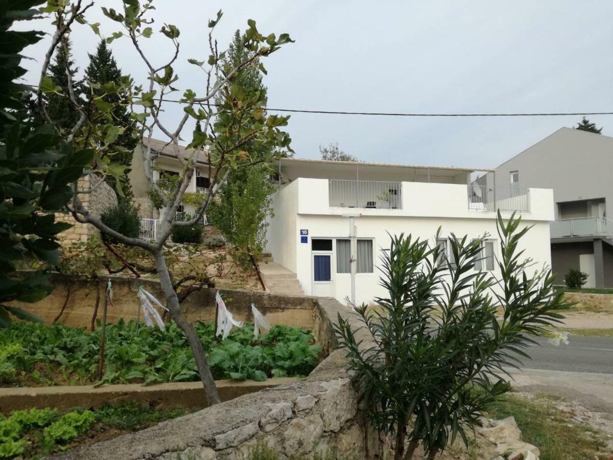 House Zara Villa Maslenica Exterior photo